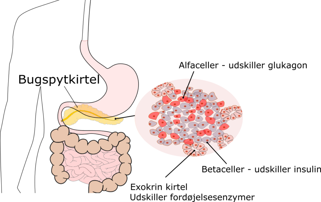 – Biologi