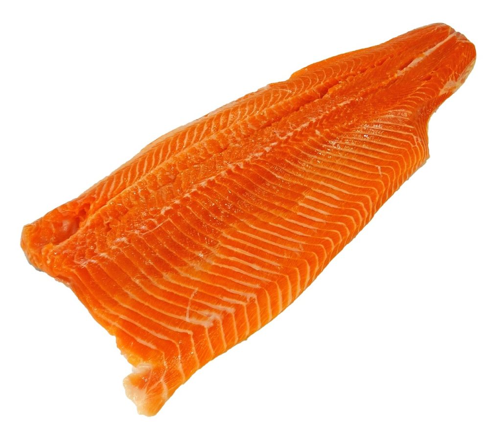 sea trout, seafood, salmon-1798847.jpg